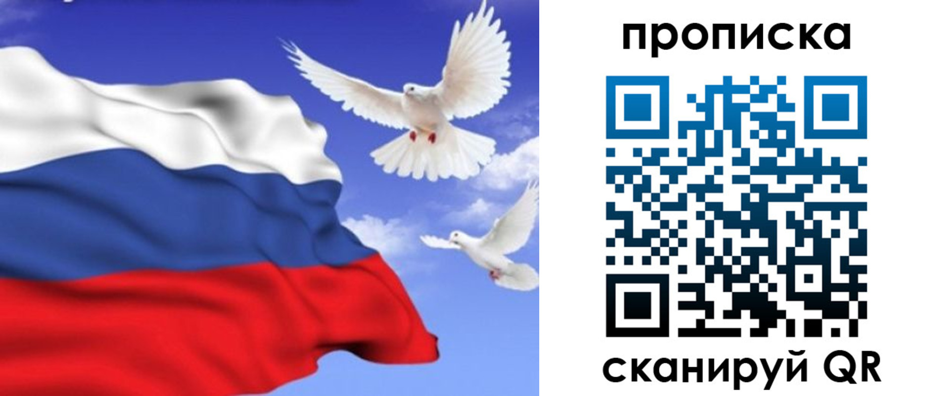 временная регистрация гарантия в Губахе